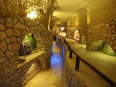 نمایشگاه خزندگان